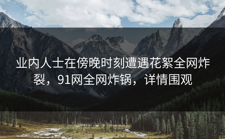 业内人士在傍晚时刻遭遇花絮全网炸裂，91网全网炸锅，详情围观