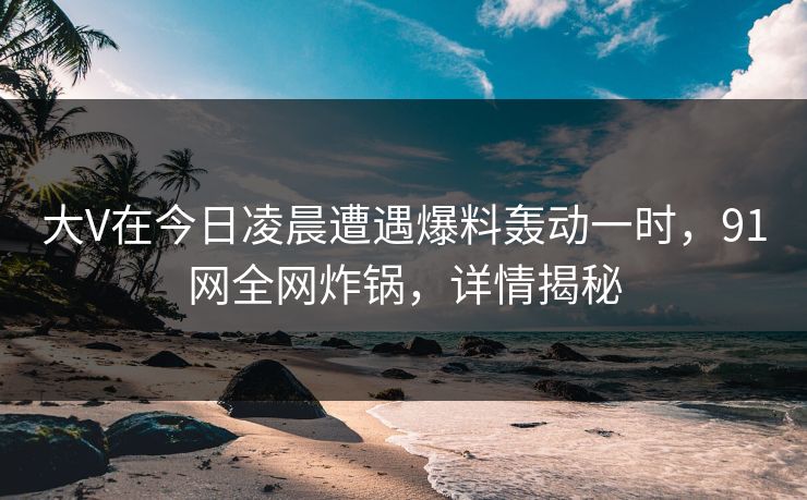 大V在今日凌晨遭遇爆料轰动一时，91网全网炸锅，详情揭秘