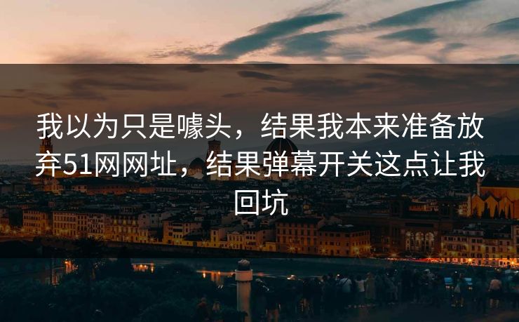 我以为只是噱头，结果我本来准备放弃51网网址，结果弹幕开关这点让我回坑